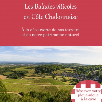 DÉCOUVREZ NOS BALADES VITICOLES EN CÔTE CHALONNAISE