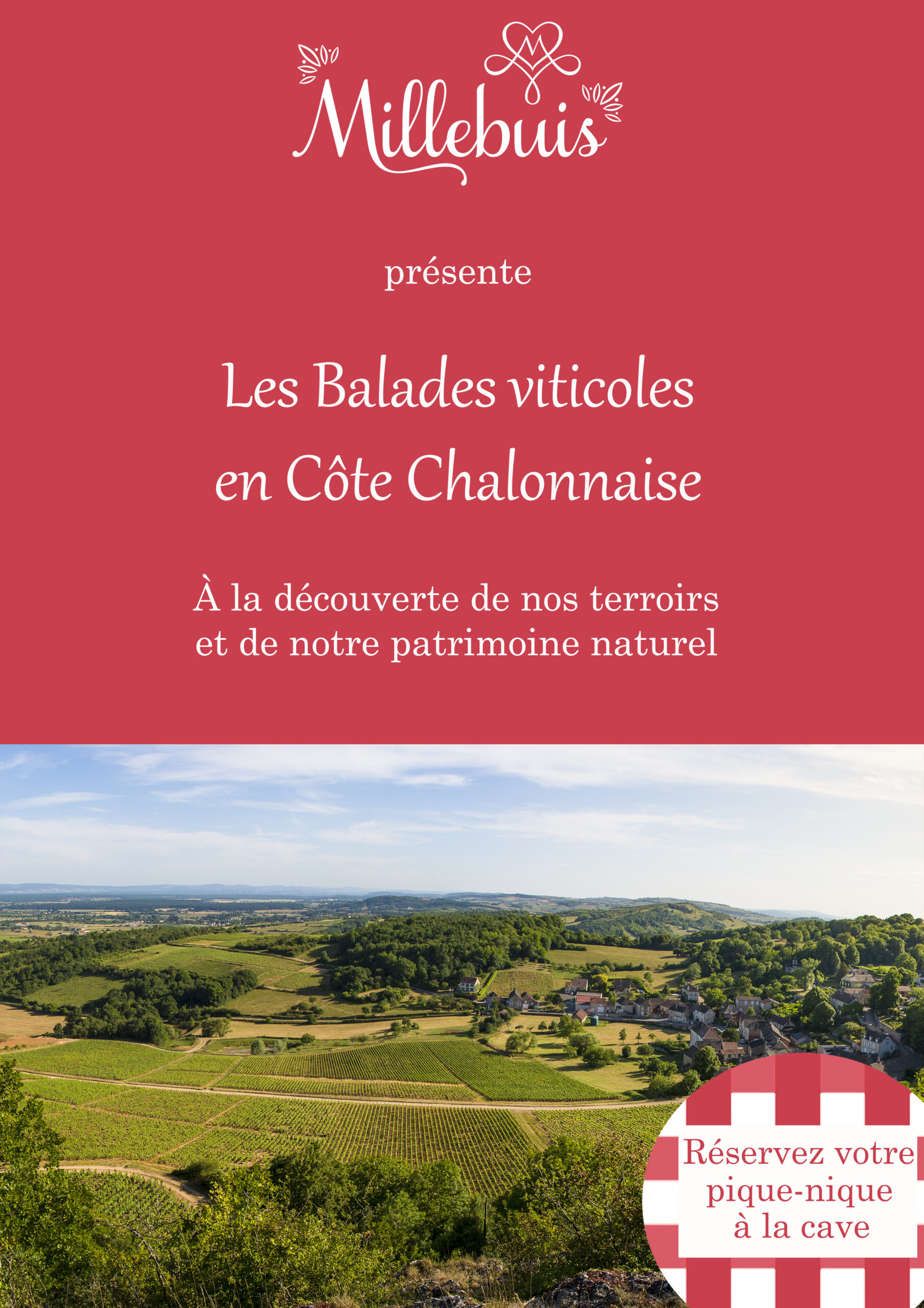 Millebuis_balades_viticoles_en_côte_chalonnaise_affiche