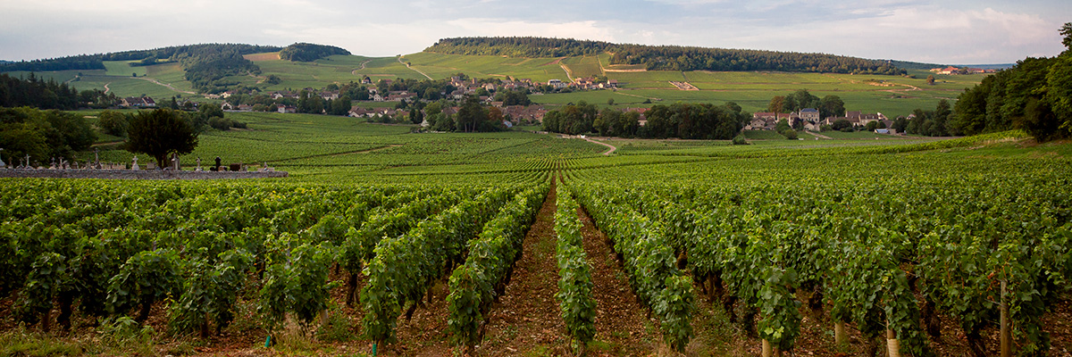 Millebuis_le_village_de_Mercurey