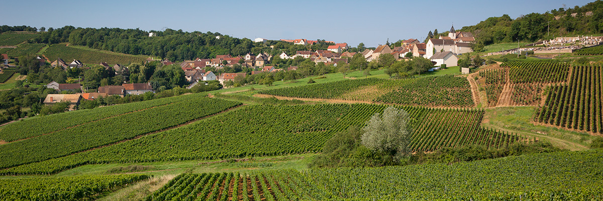 Millebuis_le_village_de_Montagny