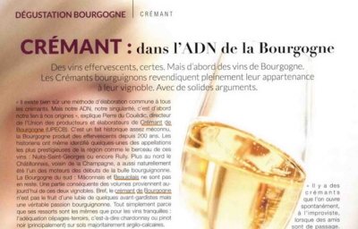 4 VINS MILLEBUIS DÉGUSTÉS PAR SOMMELIERS INTERNATIONAL