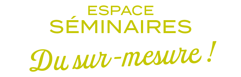 espace_seminaires_du_sur-mesure2