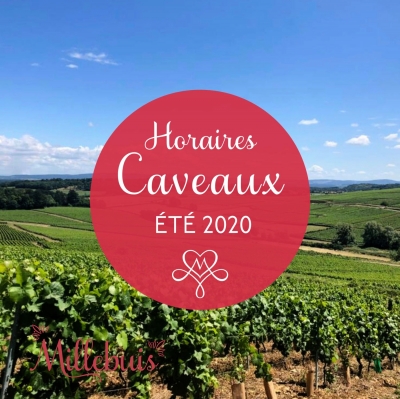 HORAIRES D’ÉTÉ DE NOS CAVEAUX DE BUXY ET SAINT-GENGOUX-LE-NATIONAL