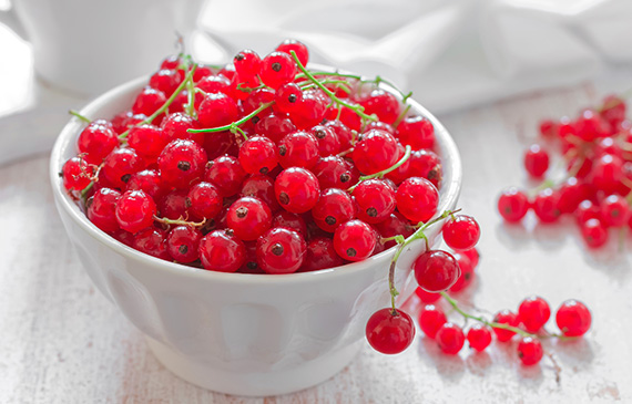 millebuis_groseilles