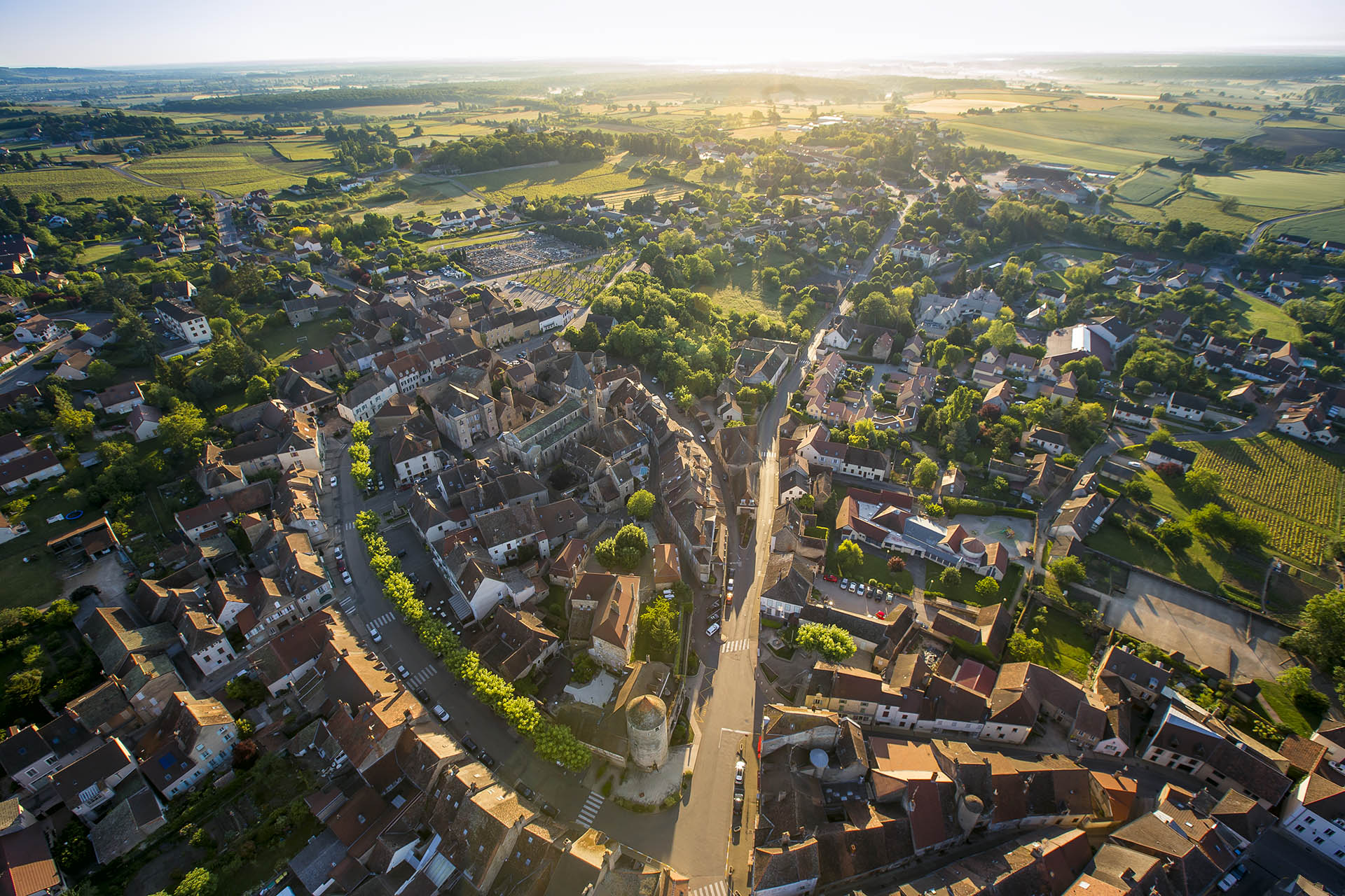 Millebuis_le_coeur_de_Buxy