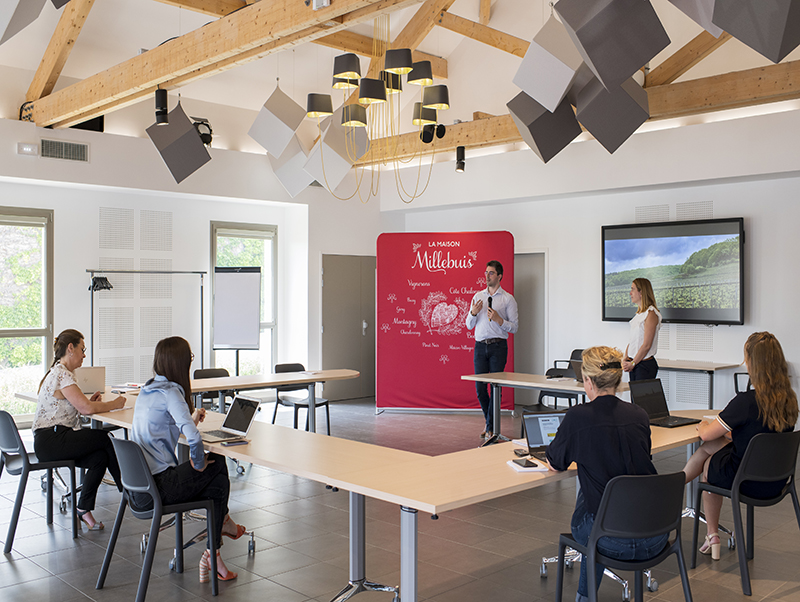 millebuis_grand_salon