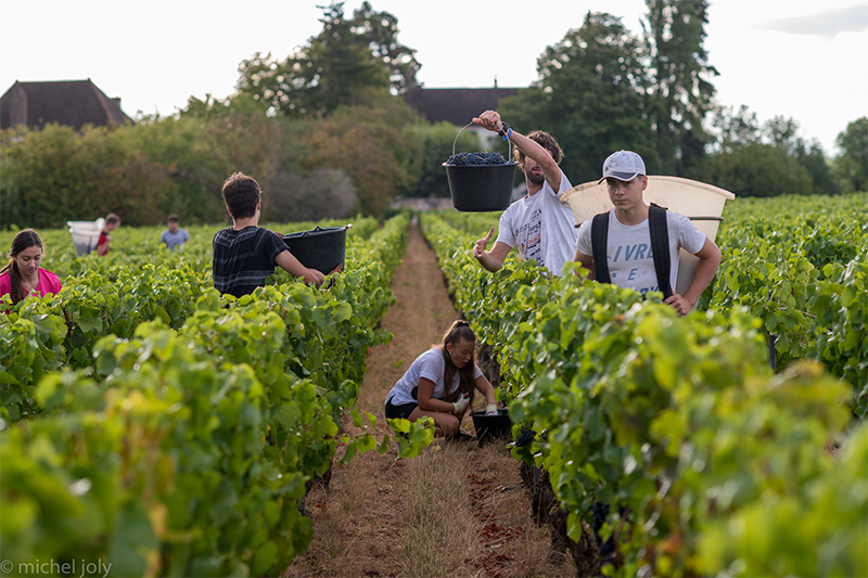 vendanges 2021 cremants