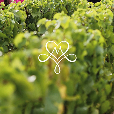 TOP DÉPART DES VENDANGES !