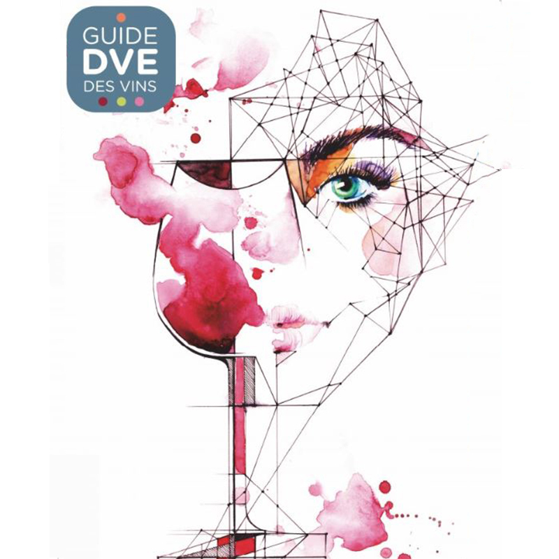 RECOMPENSES GUIDE DVE