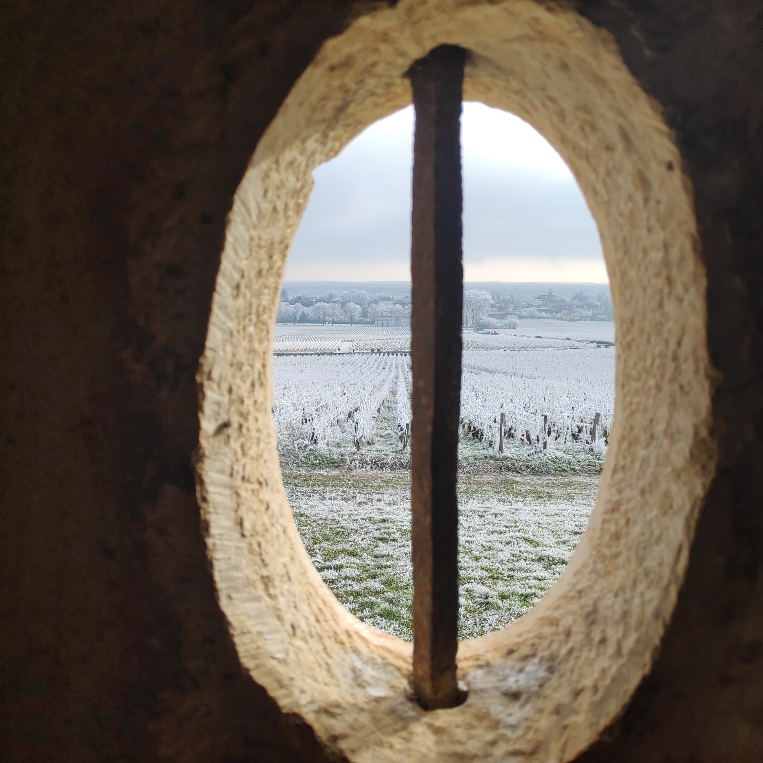 paysages enneigés 1