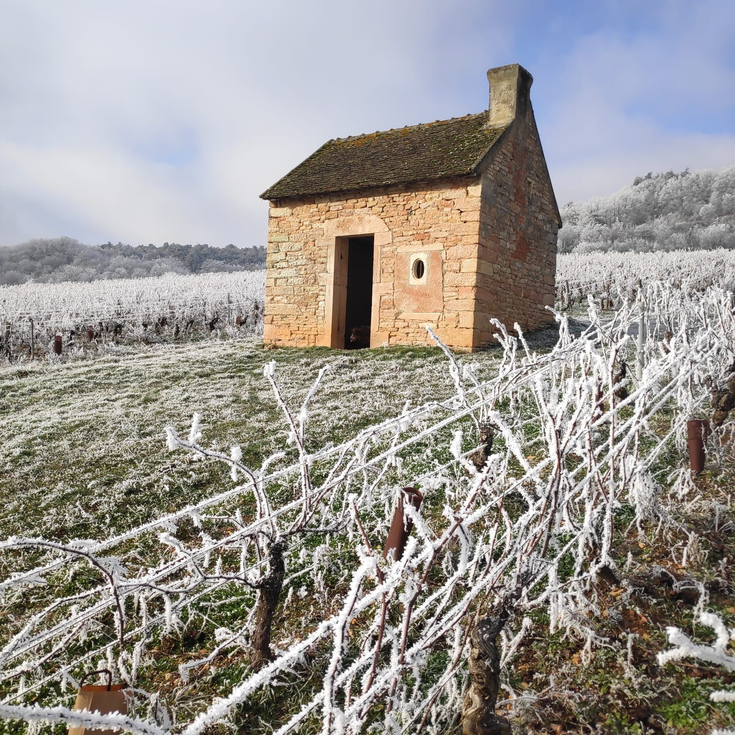 paysages enneigés 2