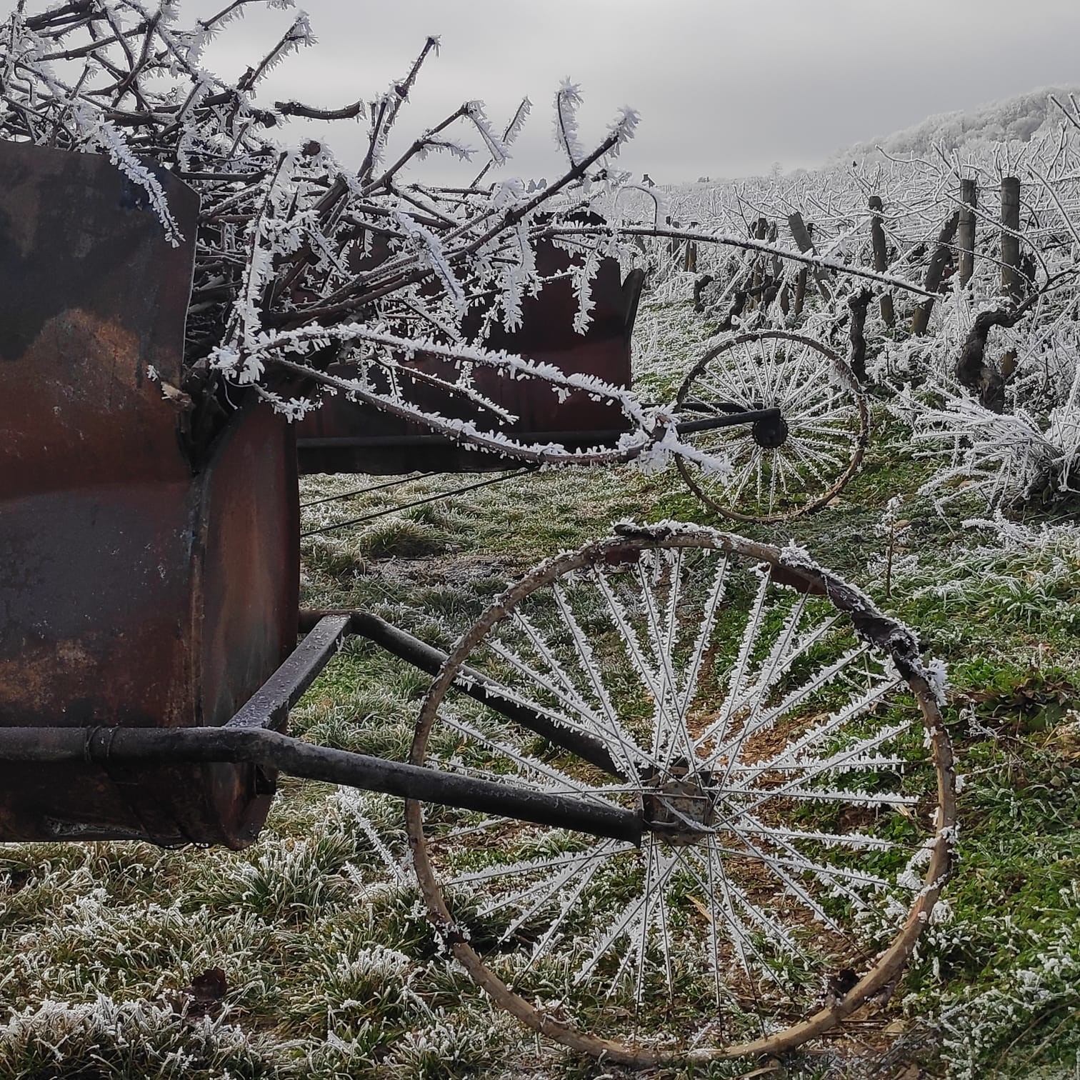 paysages enneigés 3