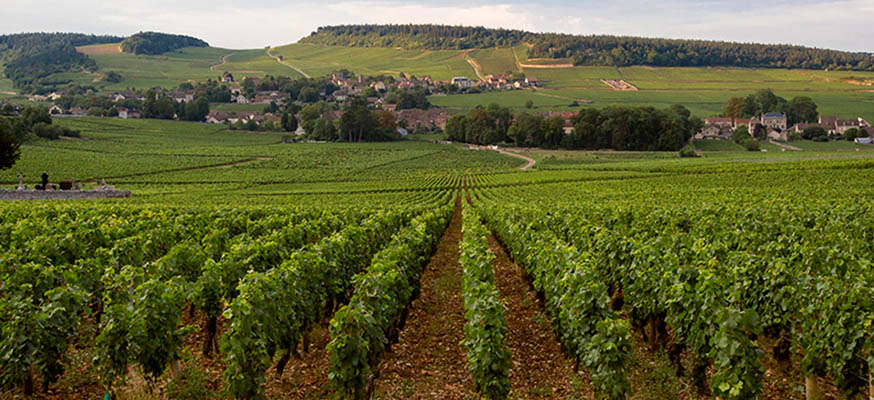 Millebuis_le_village_de_Mercurey