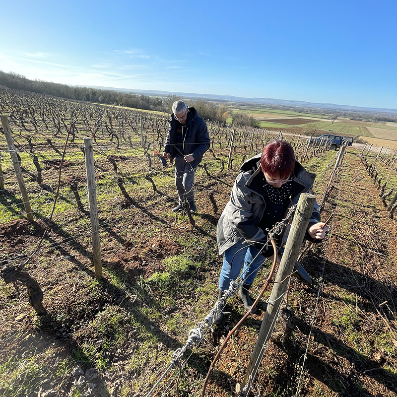 SAINT-VALENTIN EN CÔTE CHALONNAISE