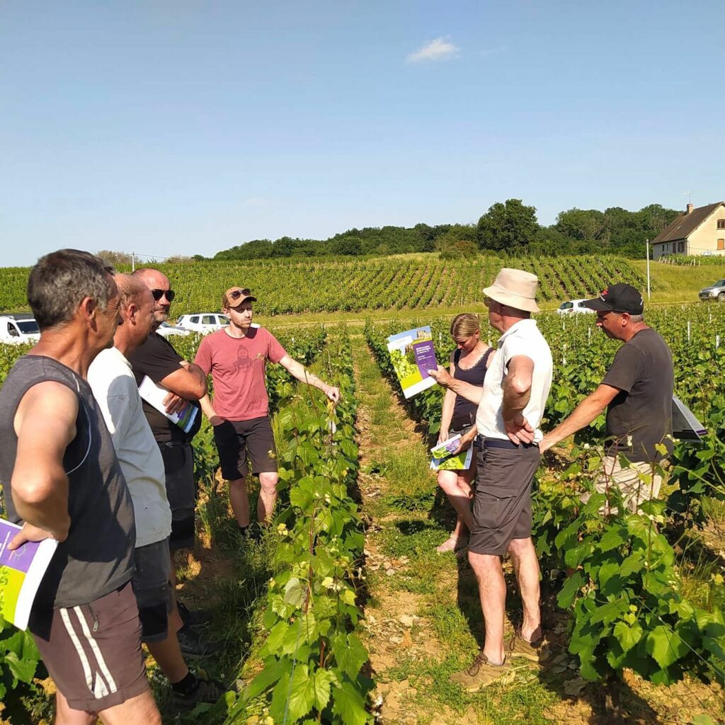 NOUVELLE RÉUNION BOUT DE VIGNE