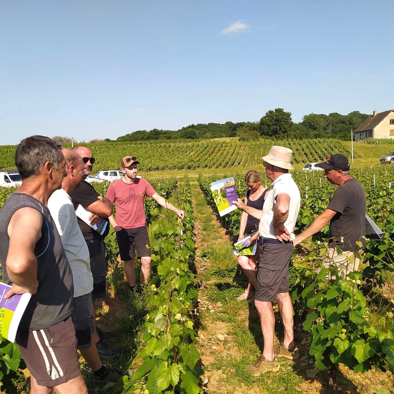 reunion bout de vigne_mai 2022