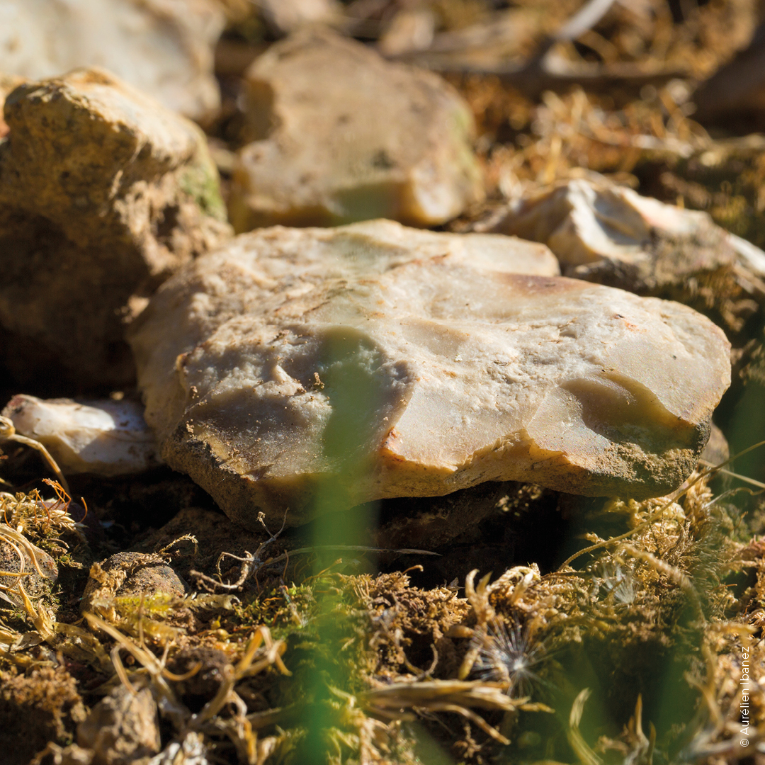 sol bourgogne aligoté silex