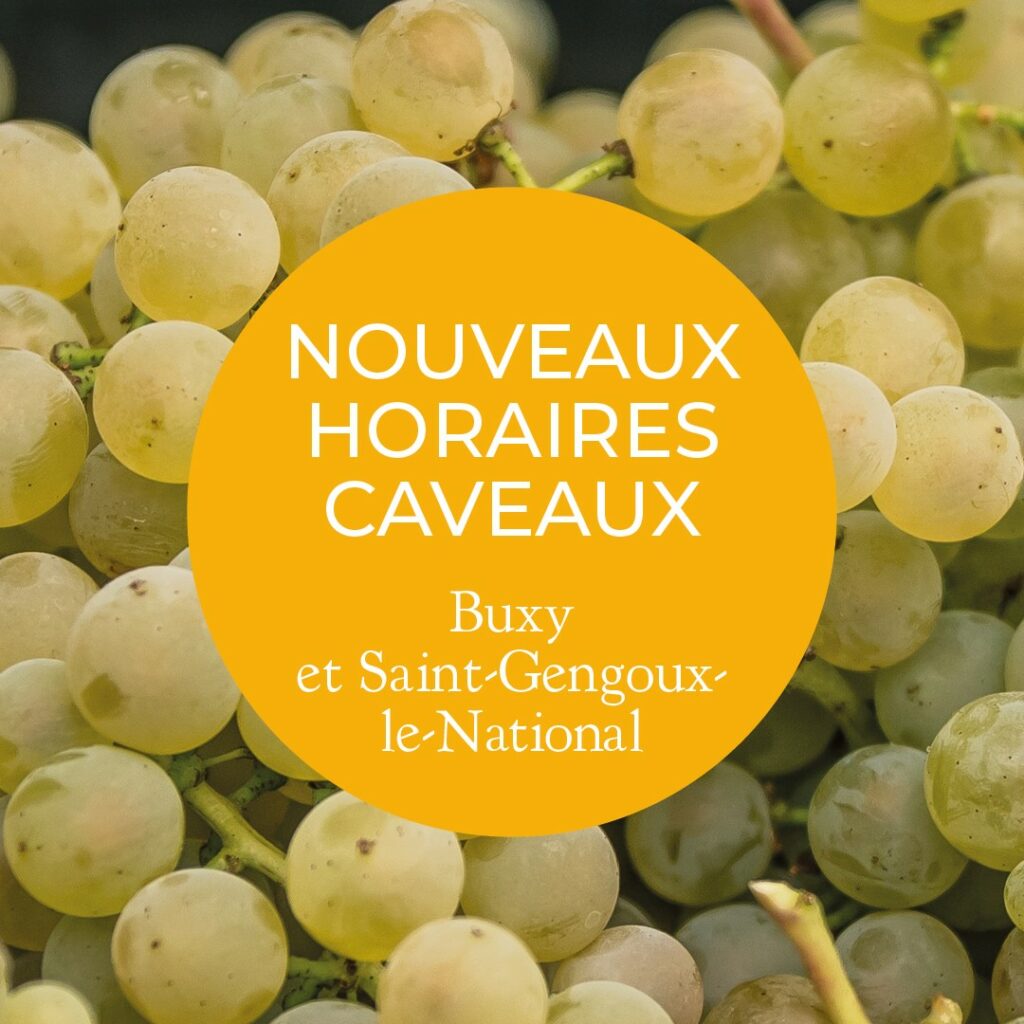 HORAIRES DE RENTRÉE