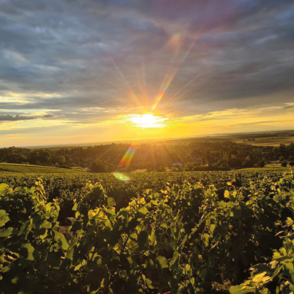 LEVER DE SOLEIL À MONTAGNY
