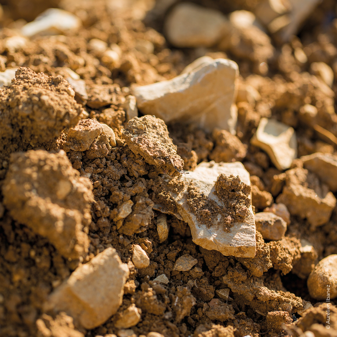 sol montagny 1er cru les coères