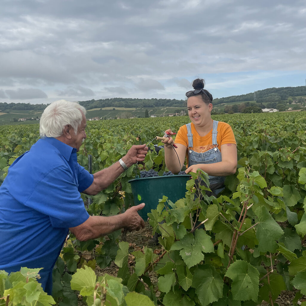 TOP DÉPART DES VENDANGES EN CÔTE CHALONNAISE