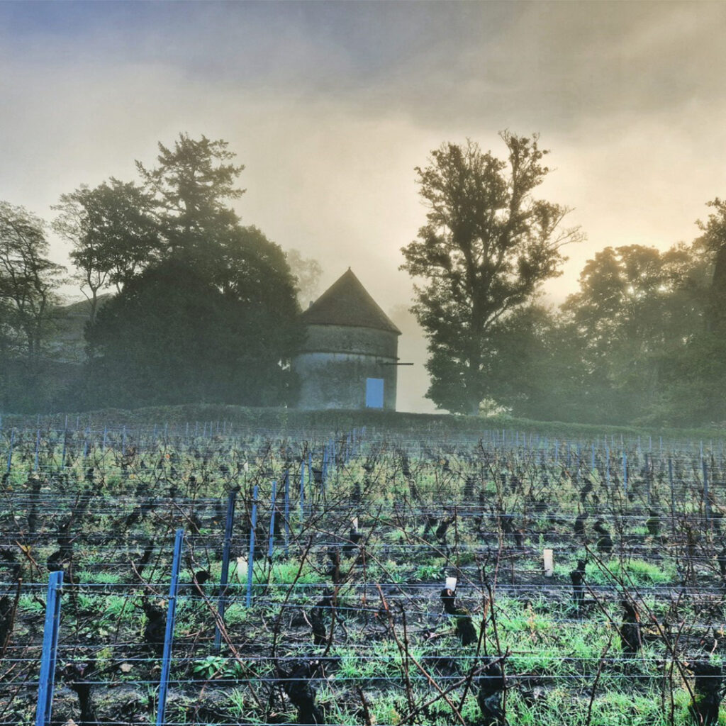 PARENTHÈSE ENCHANTÉE