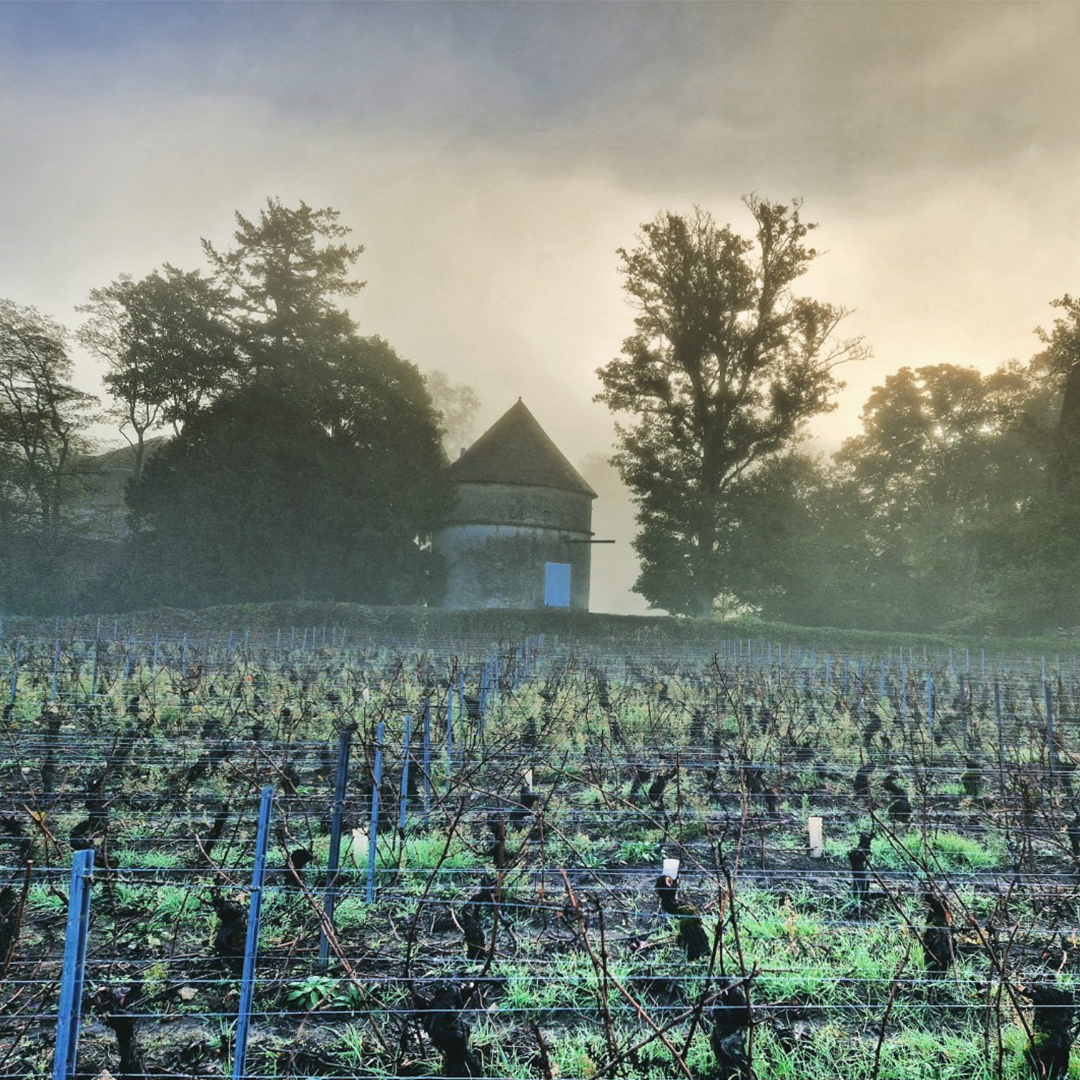 Tour bandin millebuis