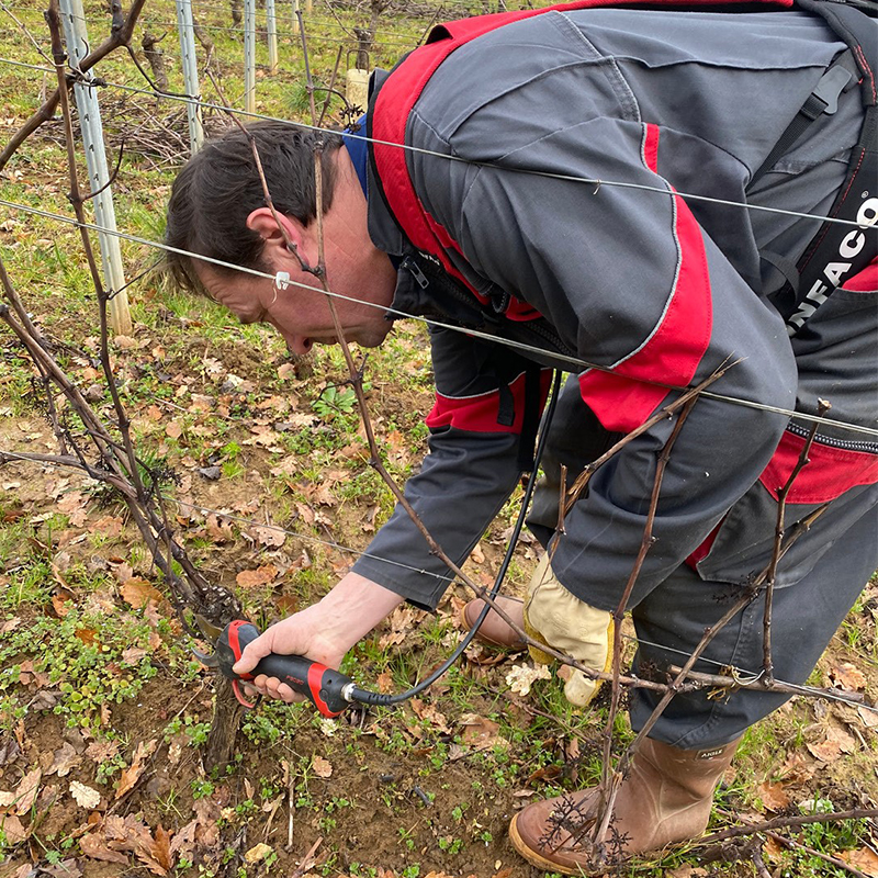 TAILLER LA VIGNE
