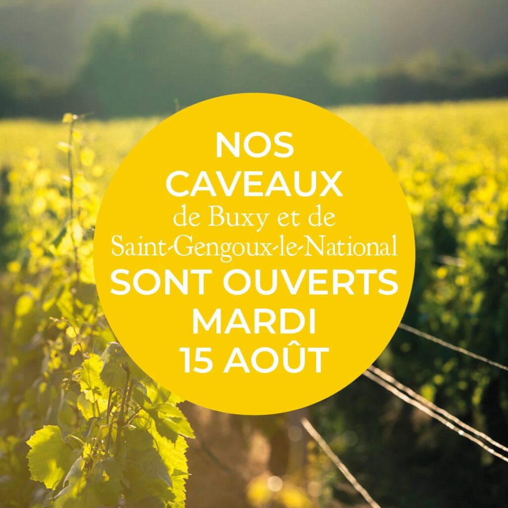 NOS CAVEAUX SONT OUVERTS LE 15 AOÛT