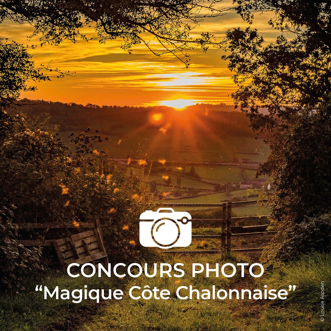 concours photo