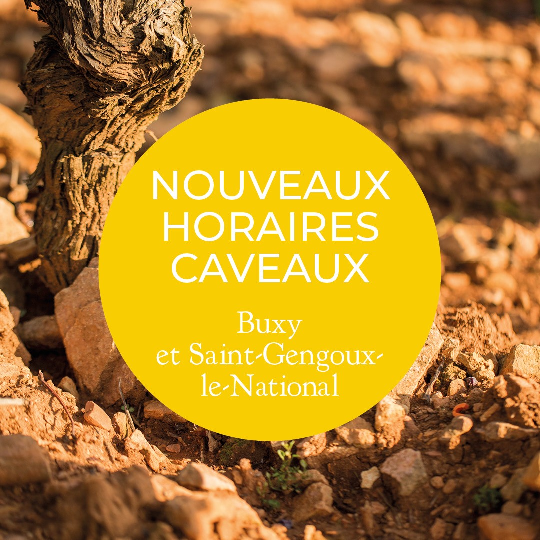 240901_horaires caveaux