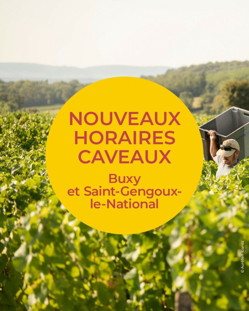 HORAIRES DE RENTRÉE DE NOS CAVEAUX